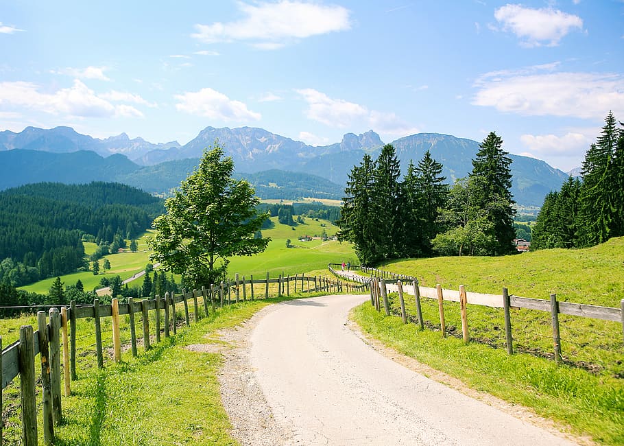 allgäu, eisenberg, bavaria, mountains, mountain range, bavarian alps, alpine, nature, landscape, forest