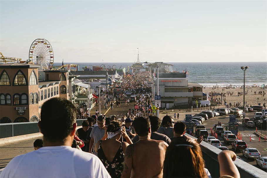 people, walking, vehicles, road, daytime, towards, body, water, beach, sand