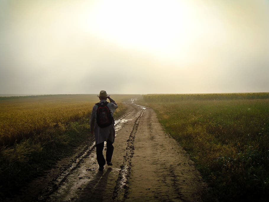 foto, homem, caminhando, em direção a, destino, cercado, campos de arroz, cara, mochila, chapéu