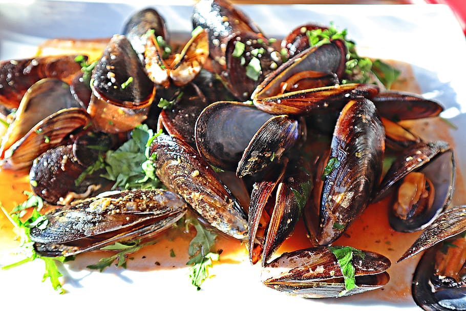 mussels, cozze, italy, holidays, vacations, sea animals, shellfish, fresh, mediterranean, italian