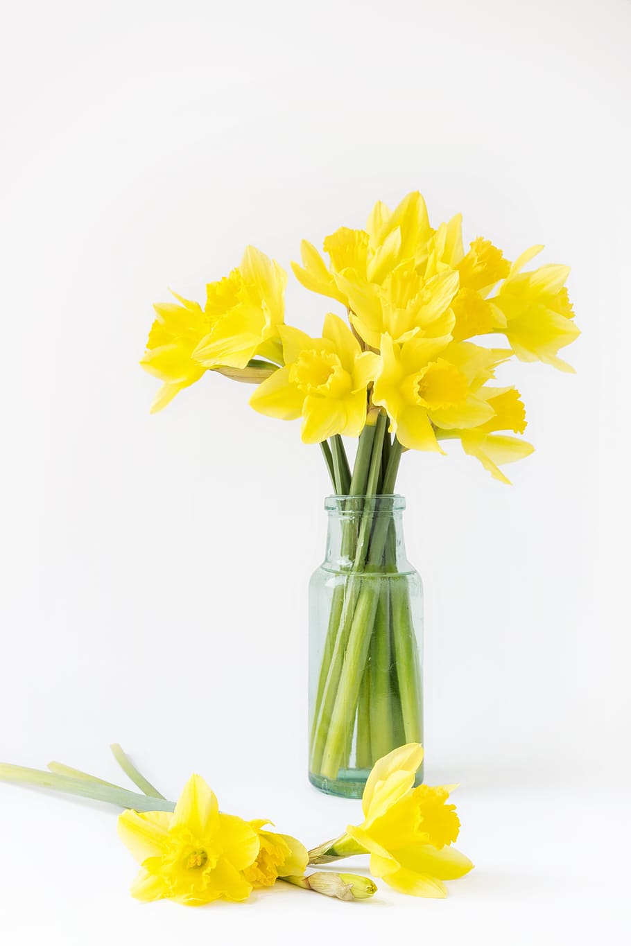 yellow, followers, tulips, freshness, flowering plant, flower, plant, vase, beauty in nature, daffodil