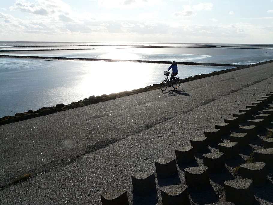 Dike, Road, North, North Sea, dike road, nordfriesland, cycling, cycle, dove, back light, sea