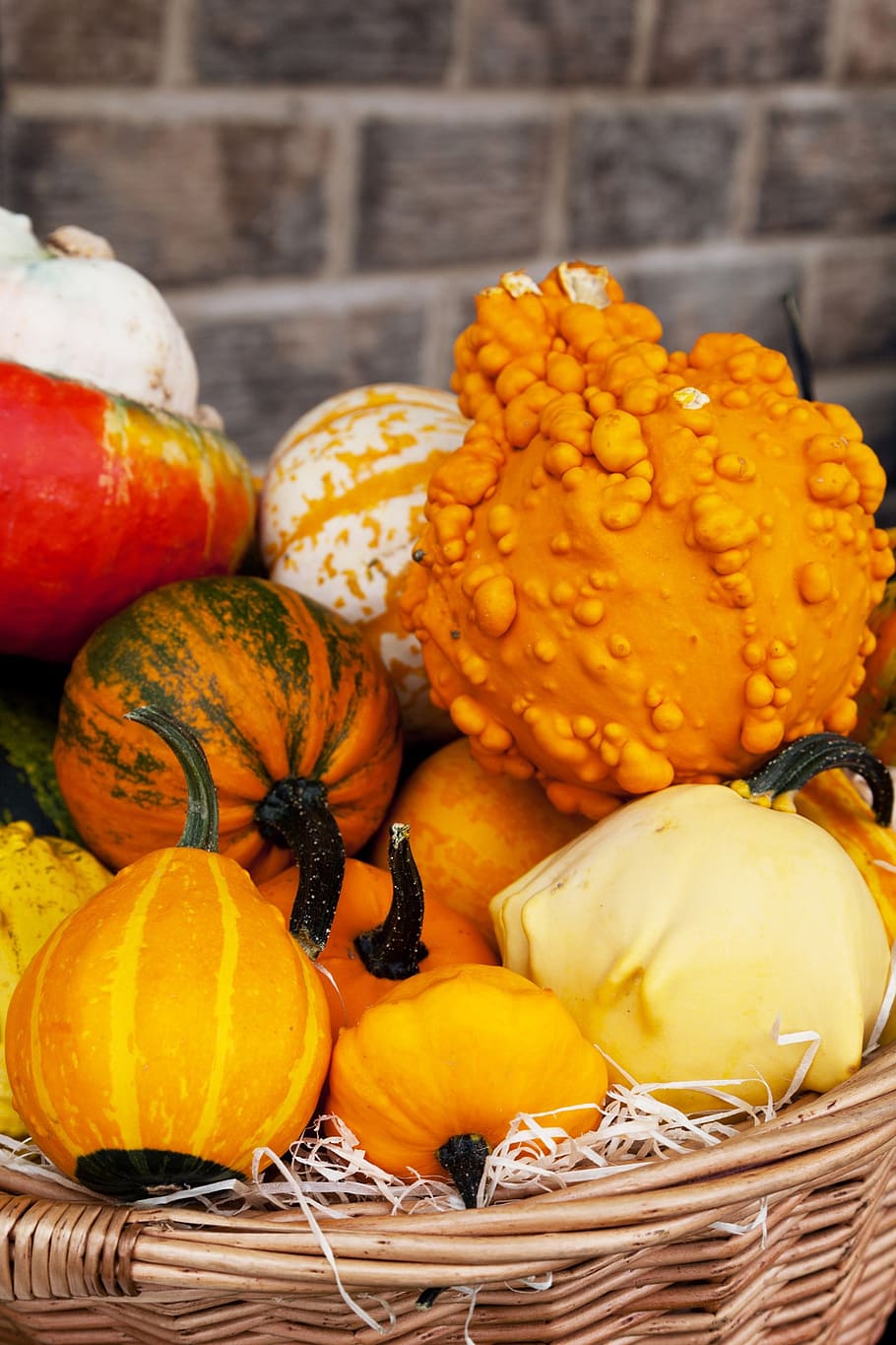 pertanian, musim gugur, warna-warni, tanaman, makanan, segar, panen, alam, labu, musim