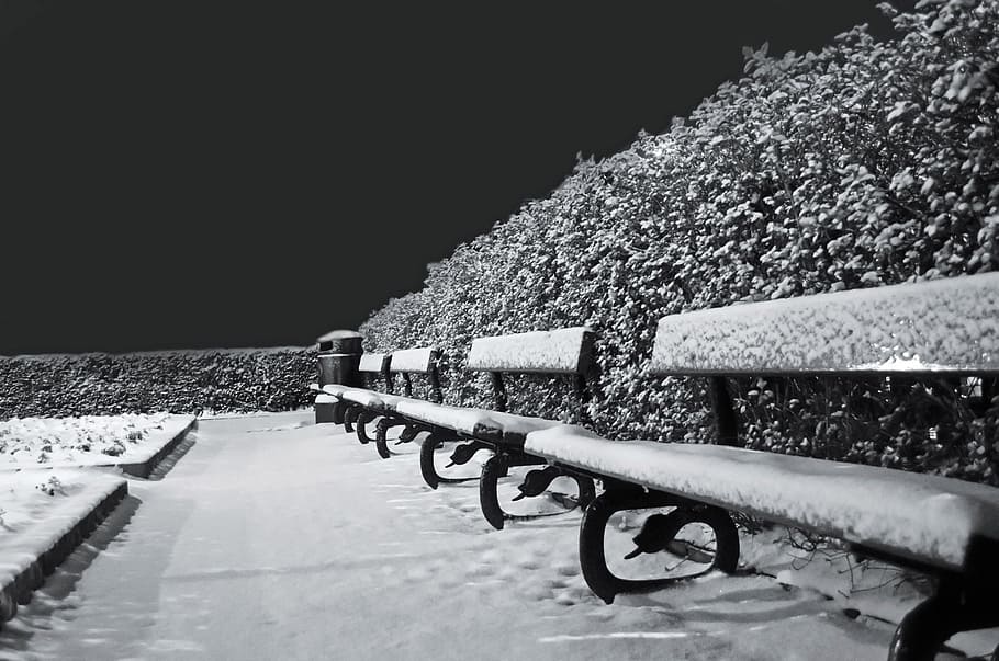 snowy, snow, frost, seasons, benches, bench, black, white, background, temperature