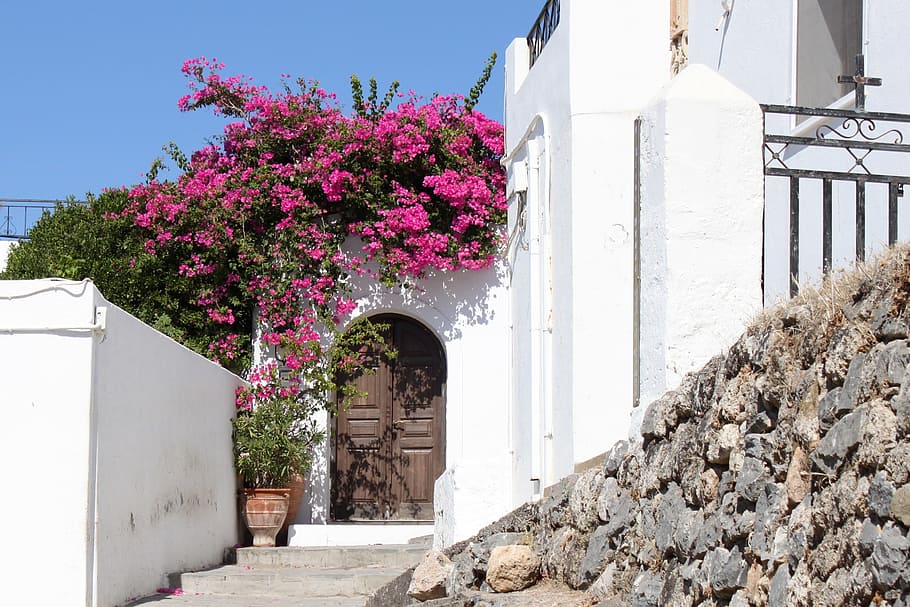 Port, Flowers, Greece, White, House, white, house, staircase, pots, rhodes, lindos