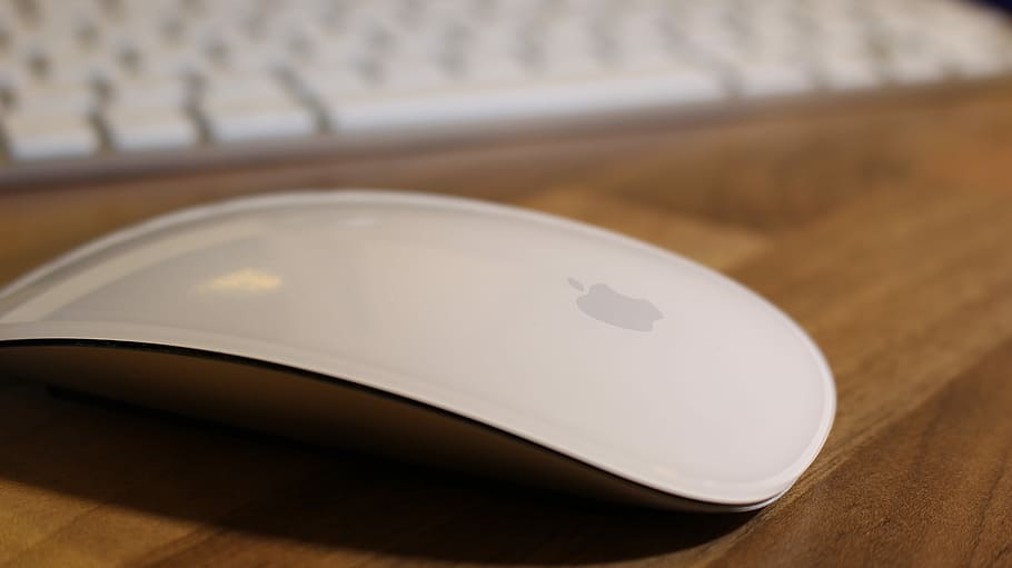Apple, Magic, Mouse, Computer, apple, magic, mouse, close-up, table, indoors, focus on foreground, day