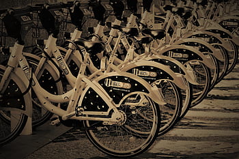 Royalty-free bicycle rental photos free download - Pxfuel
