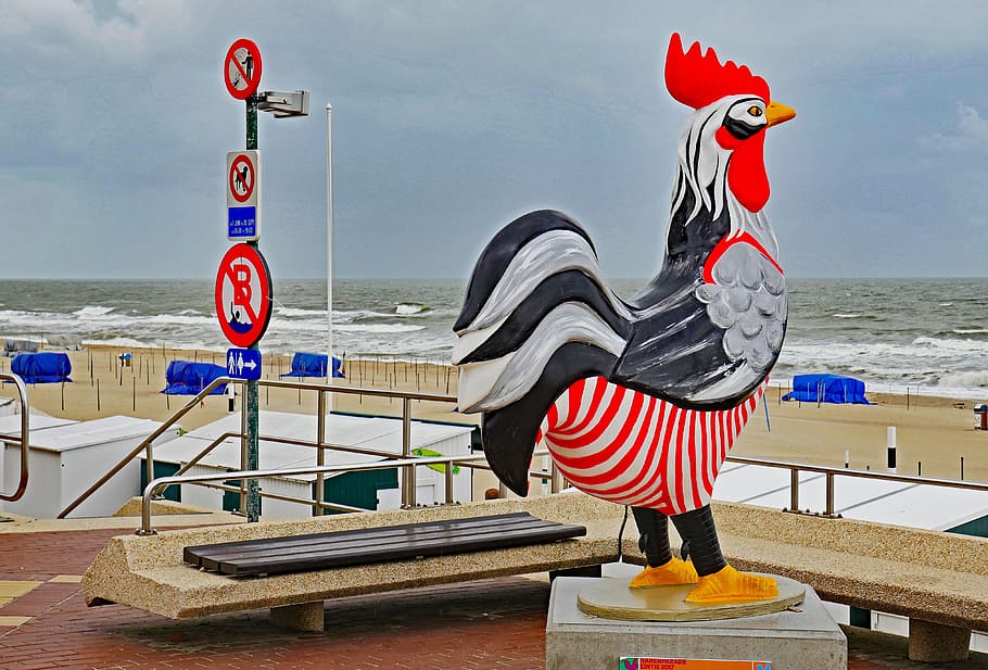 de haan, belgium, north sea coast, beach promenade, seaside resort, beach, north sea, wave, surf, stiff breeze