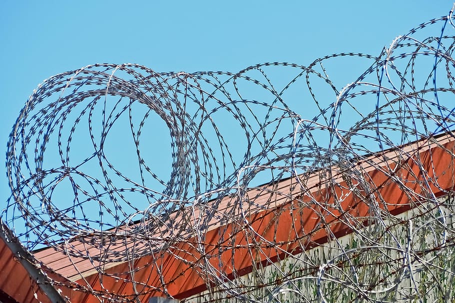 barbed wire, backup, fence, demarcation, wire, barrier, security, metal, limit, imprisoned