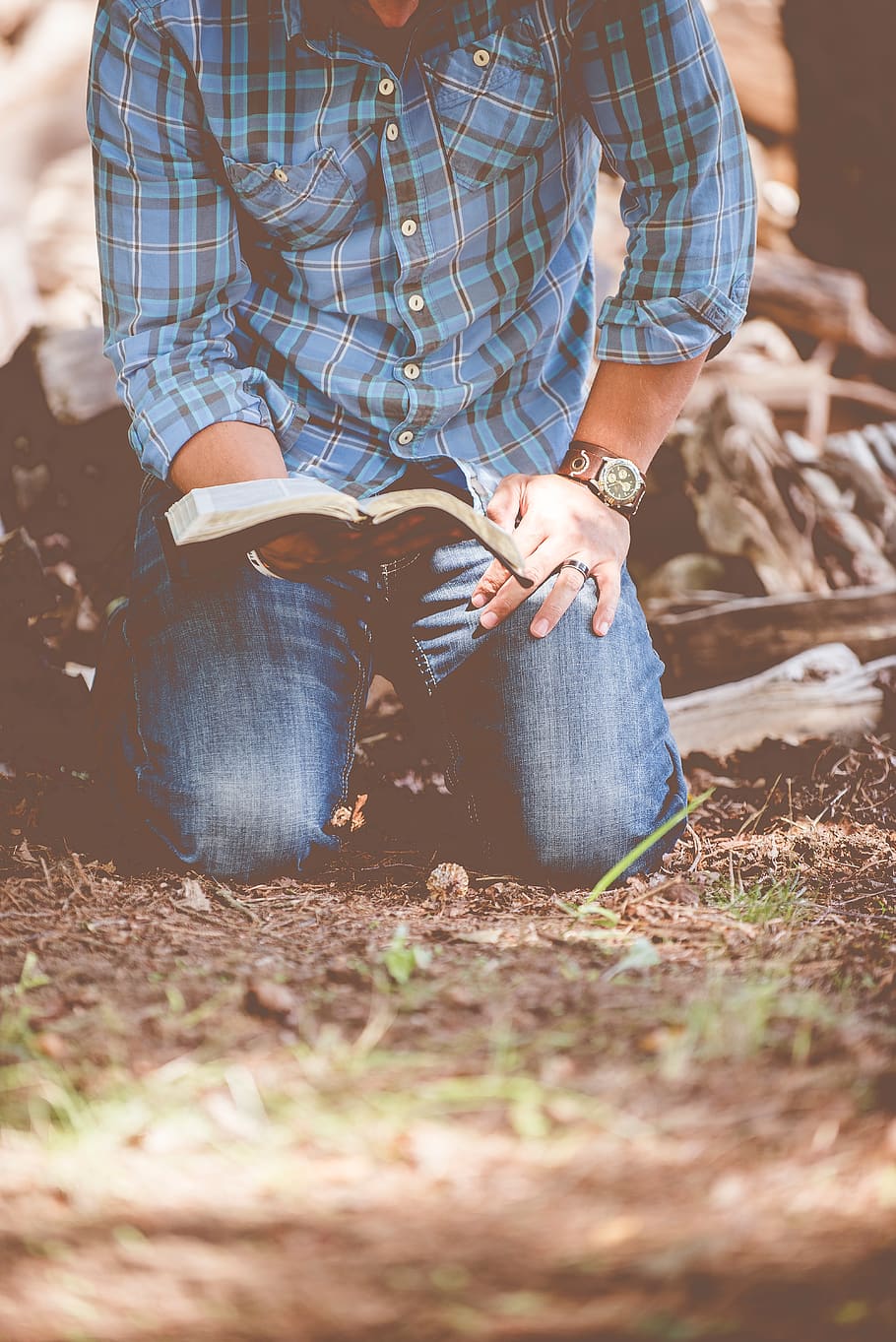 homem, lendo, algodão, camisa, relógio, livro, bíblia, floresta, madeira, ajoelhado