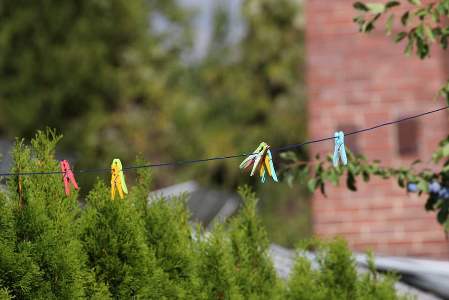 clothes line, clothespins, clothes peg, hanging, plant, clothesline, clothespin, architecture, focus on foreground, tree