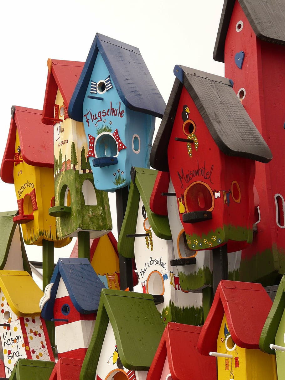 selective, focus photo, assorted-color, wooden, birdhouses, aviary, nest, home, bird, build