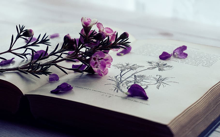 flowers, books, old books, vintage, reading, nature, wax flowers, floral, gardening, plant