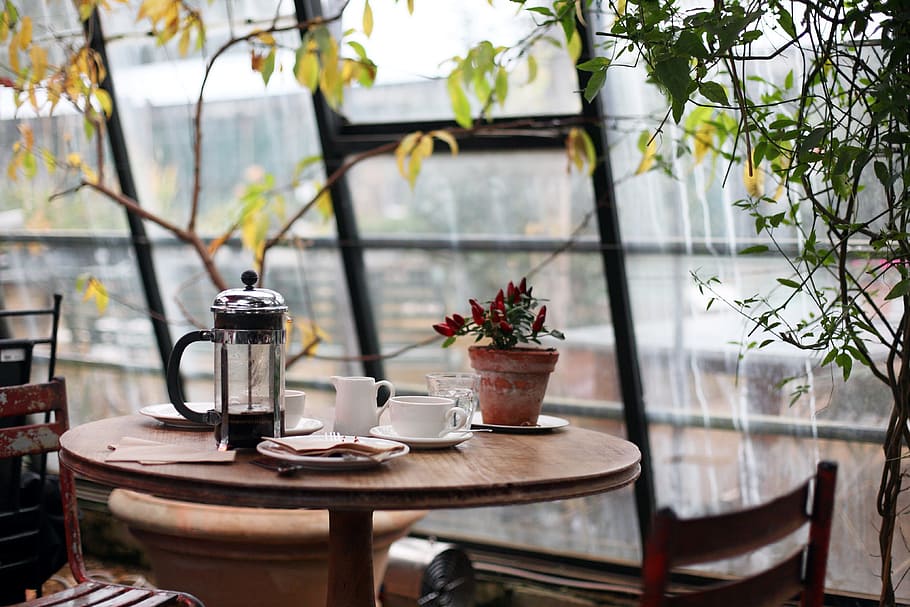 kettle, plates, table, conservatory, coffee, plants, sunlight, chair, glass, windows