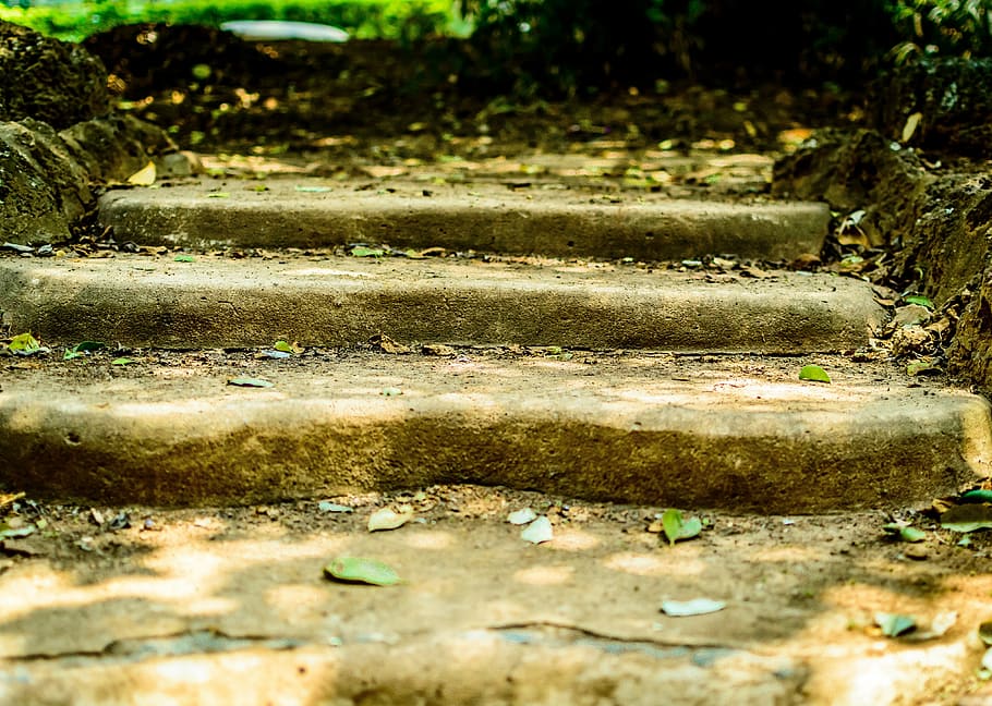 close, photography, stair, dried, leaves, stairs, steps, stairway, old, stone