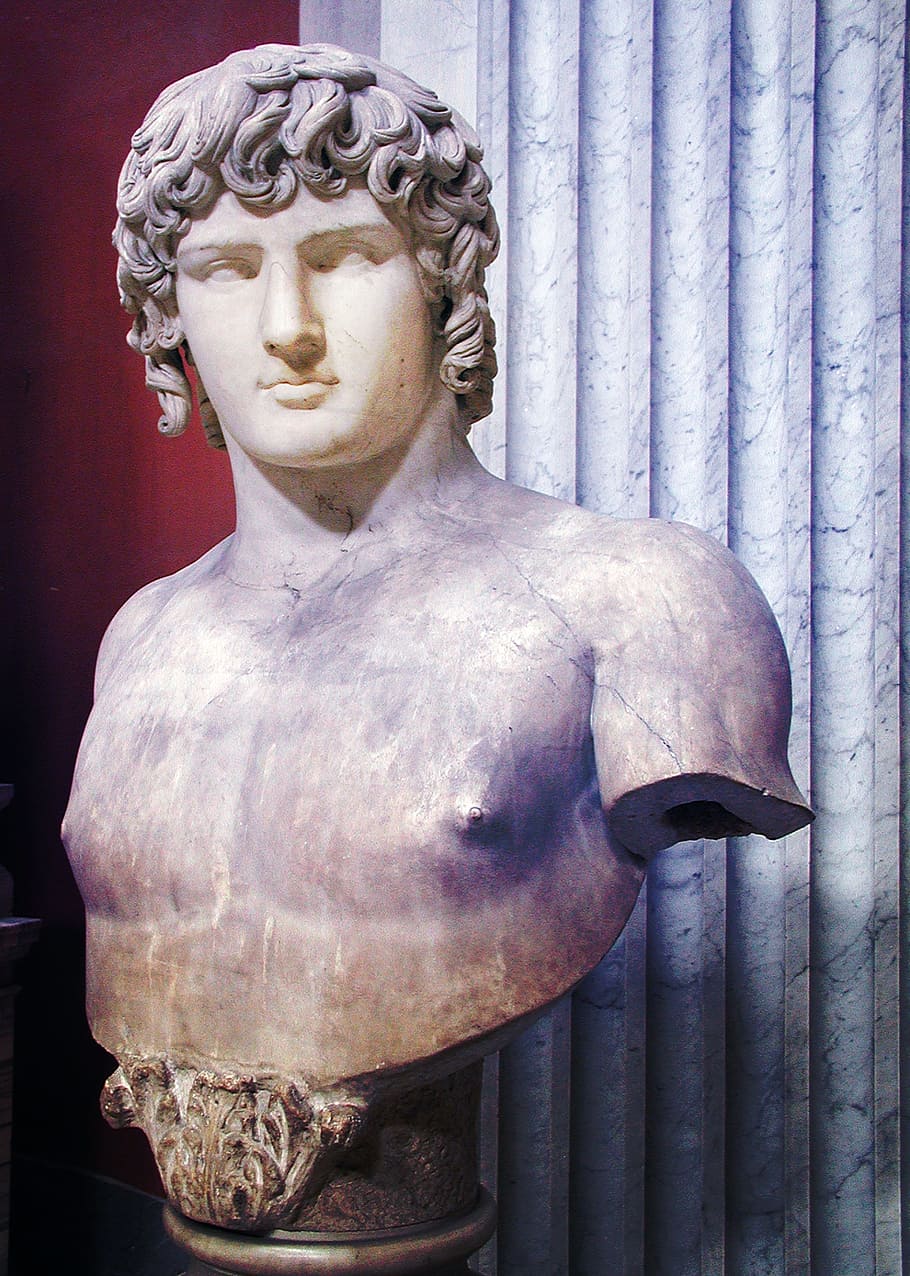 sculpture, marble, vatican, rome, bust, roman, museum, art, statue, human representation