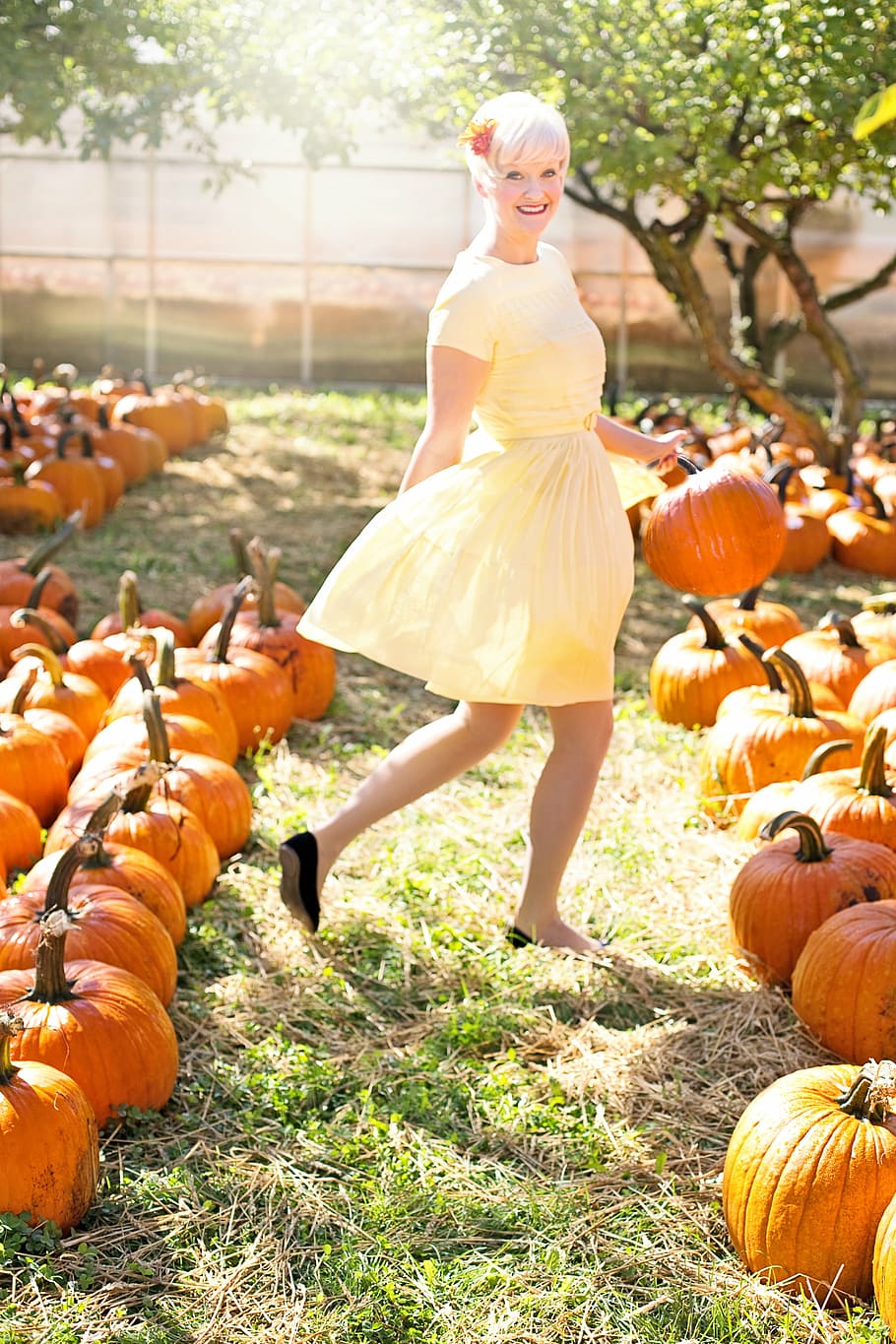 woman, holding, pumpkin, smiling, young woman, beautiful, pumpkins, autumn, fall, blonde