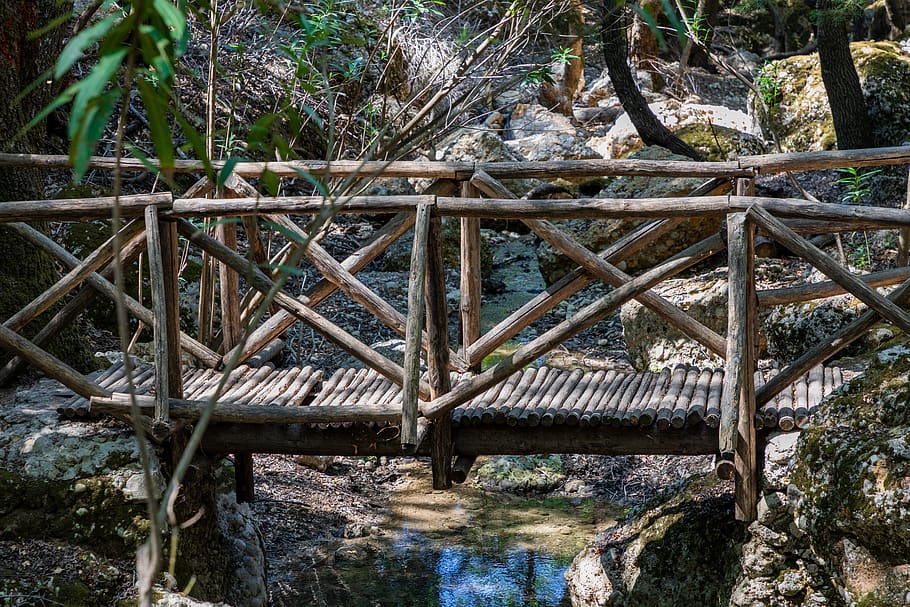 bridge, footbridge, wood, forest, nature, trees, plant, tree, day, wood - material