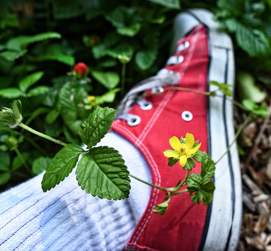 foot, shoe, sneaker, sock, person, female, flower, leaf, outdoors, sitting down