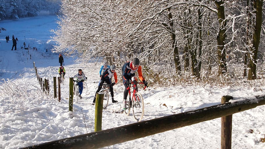 雪, 丘, 冬, 木, 眺め, サイクリング, レース, 登山, 白, 楽しむ