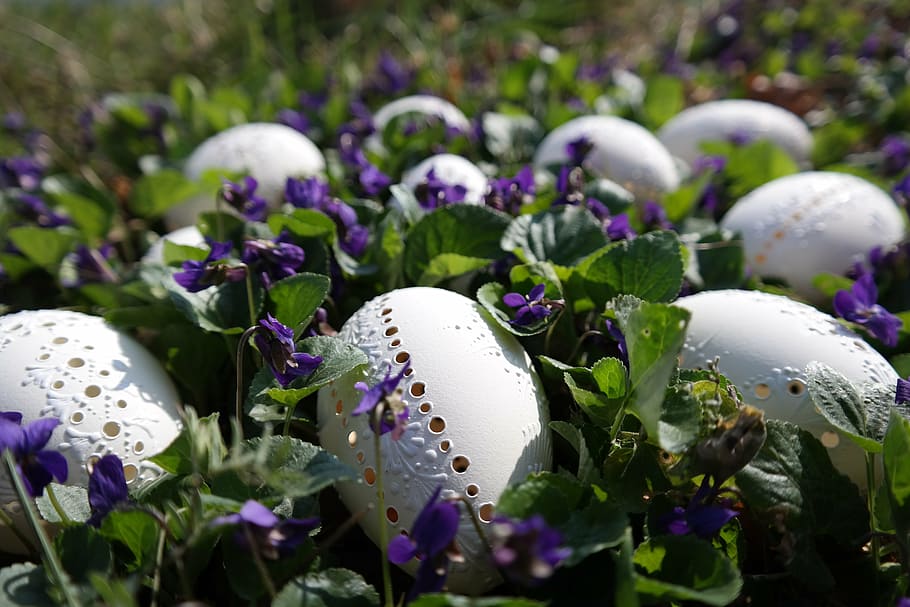 white, egg trinkets, easter eggs, violet, easter, nature, springtime, flower, grass, decoration