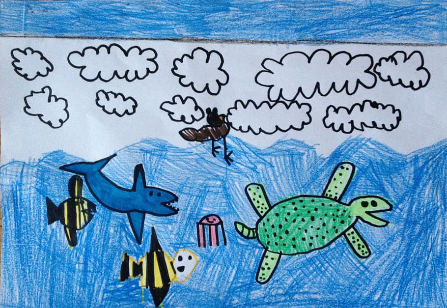 Sky, Sea, Life, Kids, Drawing, Fish, sea, life, kids drawing, turture, turtle
