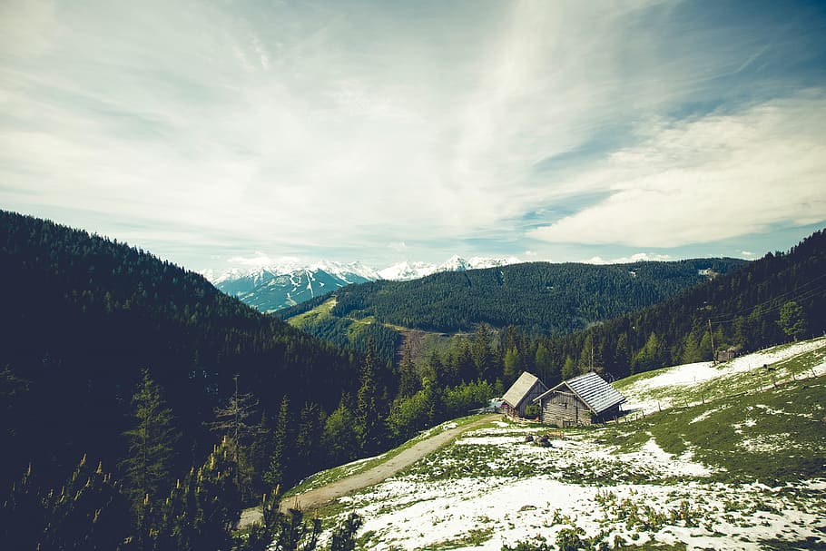 house, cottage, mountains, trees, grass, fields, forest, woods, landscape, nature