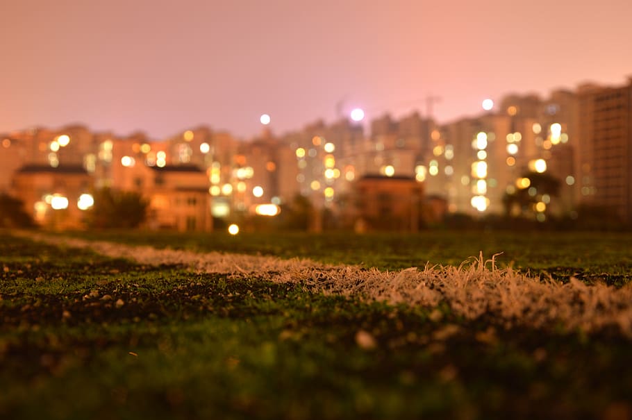 verde, campo de hierba, edificios de la ciudad, fondo macro shot, vista nocturna, el paisaje, campo de fútbol, ​​luz, apertura, aureola