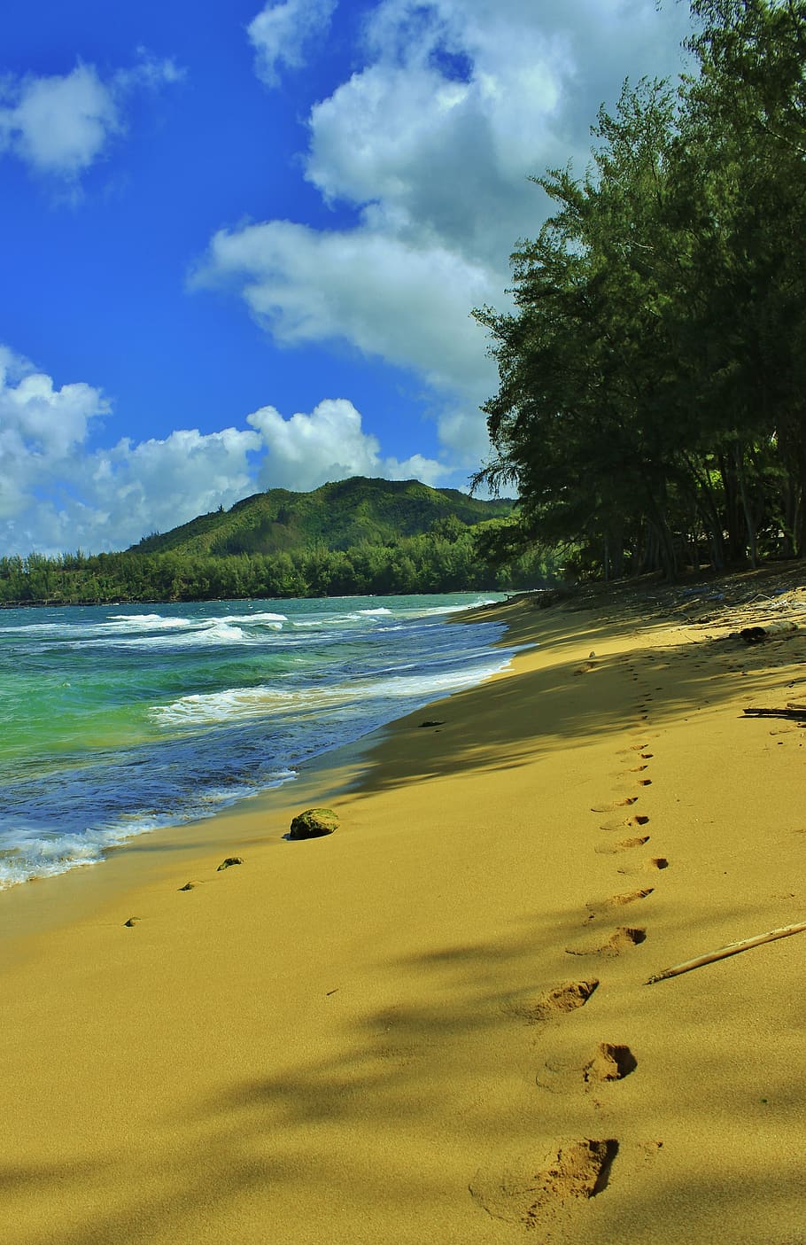 footprints, sea shore, beach, tracks, sandy beach, sand, hanalei, kauai, hawaii, vacation