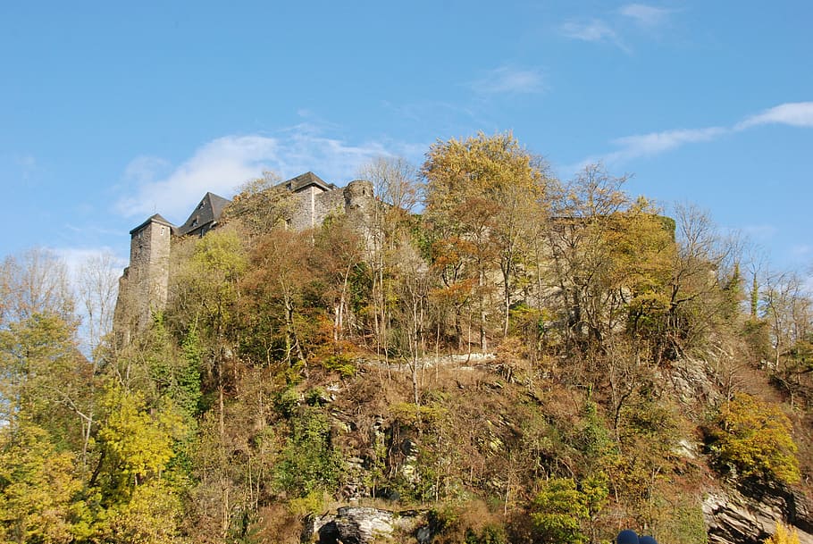 castle, fortress, history, rock, old, autumn, monschau, germany, tree, nature