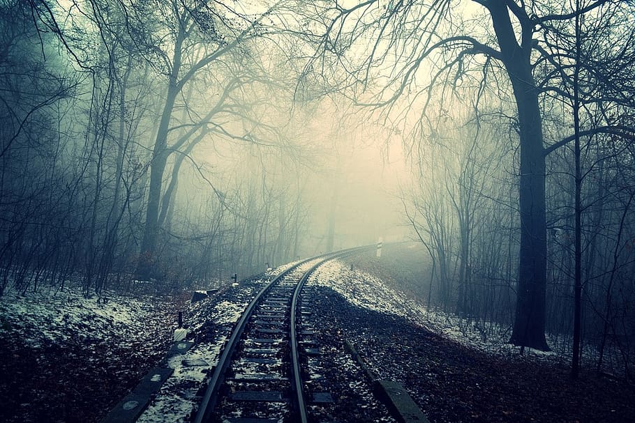 dark, mist, fog, haze, night, train tracks, railroad, railway, trees, forest