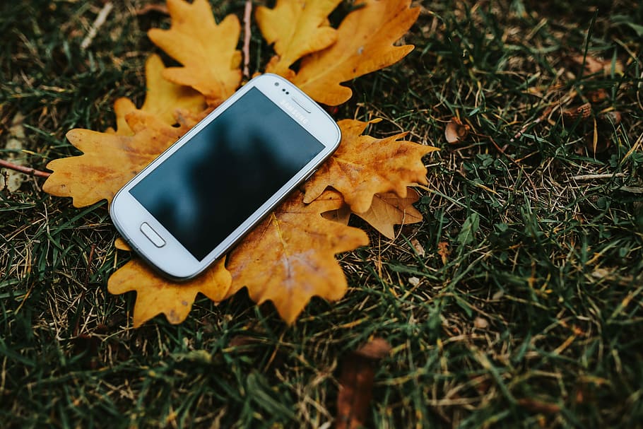 秋, 葉, 地面, 紅葉, 黄色, モバイル, スマートフォン, 茶色, 携帯電話, 屋外