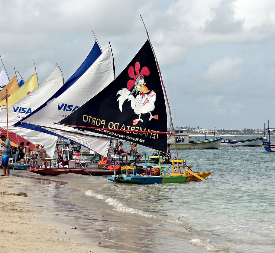 pernambuco, porto de galinhas, brazil, beach, mar, summer, nature, sailboats, nautical Vessel, flag