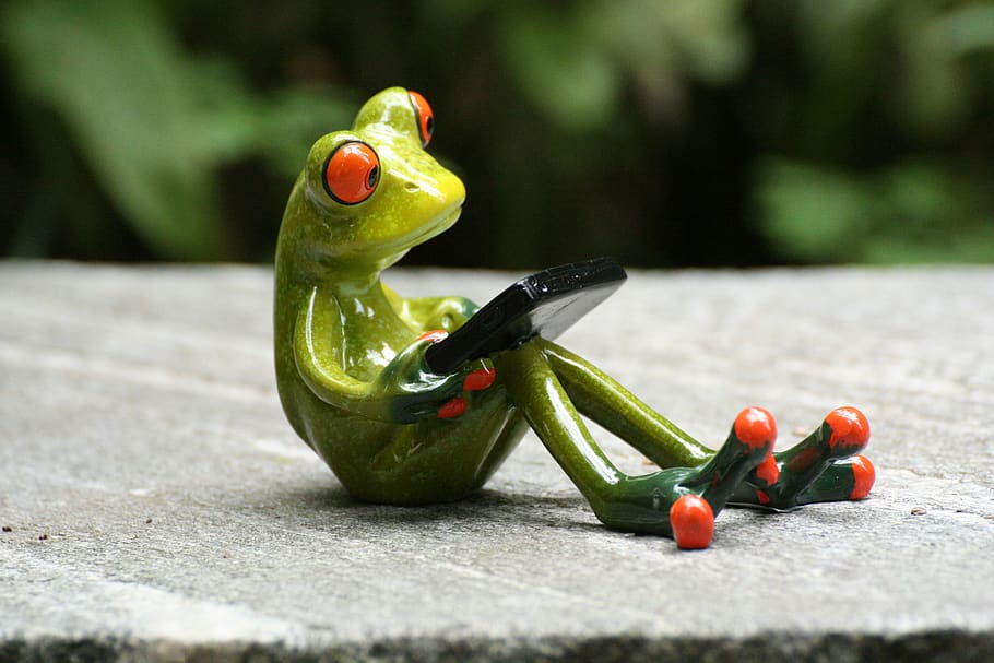 tablet, sitting, frog, green, amphibians, garden, stone, figure, funny, awareness