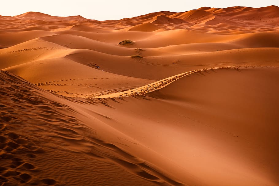 gurun coklat, gurun pasir, maroko, bukit pasir, kering, pemandangan, gundukan pasir, pasir, gurun, tanah