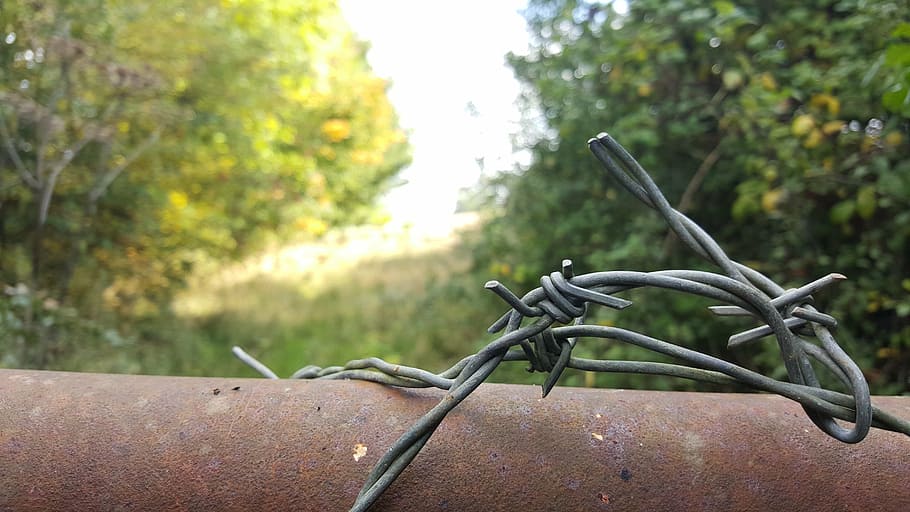 barbwire, fence, fields, focus on foreground, tree, plant, day, barrier, boundary, close-up