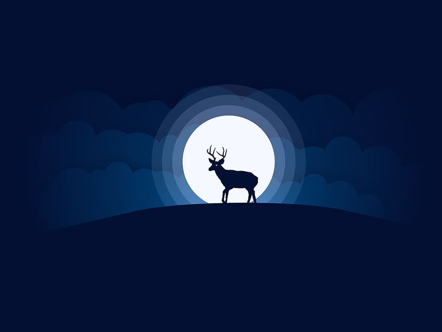 moon, deer, sky, animal, silhouette, night, wildlife, wild, black, card