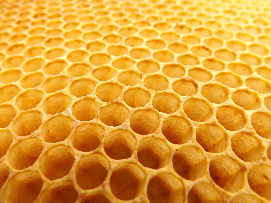 macro photography, Honey comb, honeycomb, beekeeping, beehive, honey, beeswax, hexagon, bee, wax