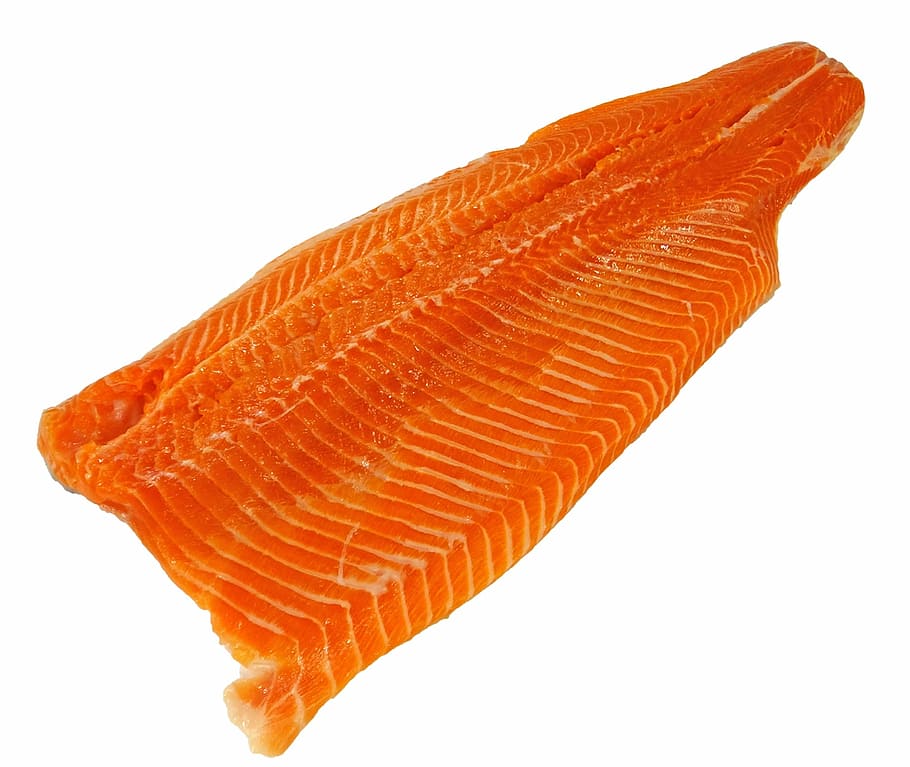 raw fish meat, sea trout, seafood, salmon, fillet, food, restaurant, trout, catering, sea
