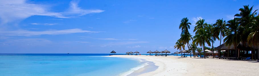 beach, gazebo, palm trees, maldives, tropical, tropical beach, island, coastline, white, scenics