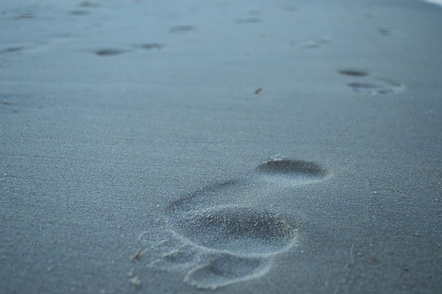 Footprint, Sand, Beach, Footprints, sand, beach, ocean, water, pacific, shoreline, beach sand