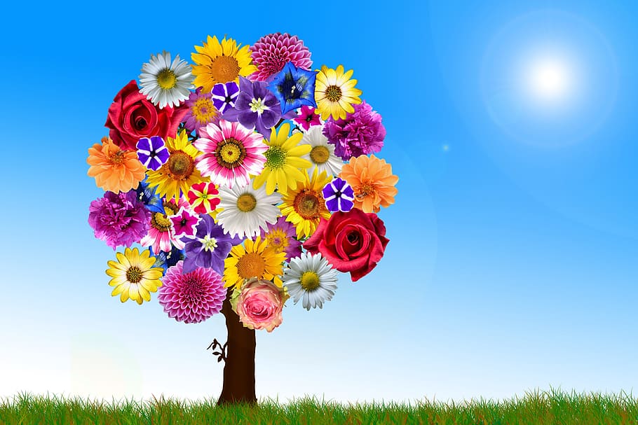 여러 가지 빛깔의 꽃 나무, 낮, 벽지, 꽃, 나무, 조화, 조화로운, 정원, 많은, 꽃다발