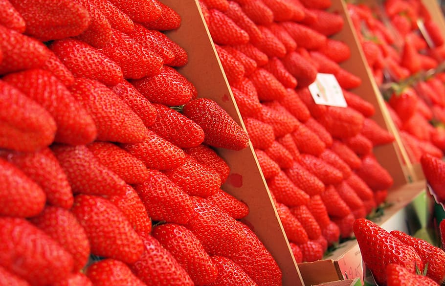 shallow, focus photography, red, strawberries, close, strawberry, fruits, food, healthy, market