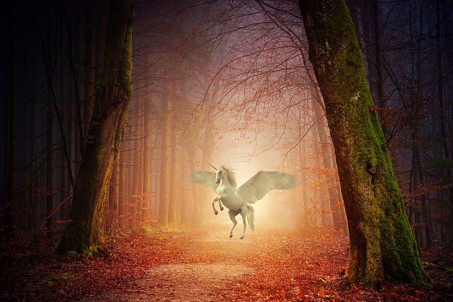 unicorn, fantasy, tale, fable, story, woods, forrest, magic, light, trees - Pxfuel