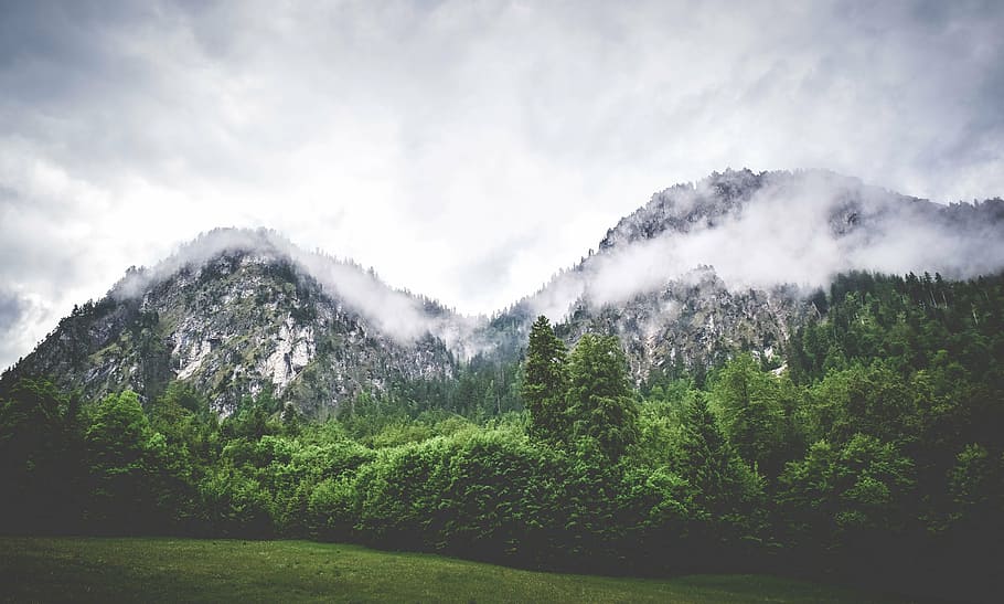 landscape photo, green, trees, landscape, photography, mountains, mountain, valley, clouds, fogs