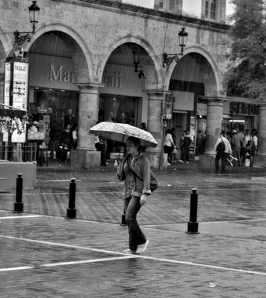 rain, umbrella, women, climate, damp, city, urban, real people, architecture, built structure