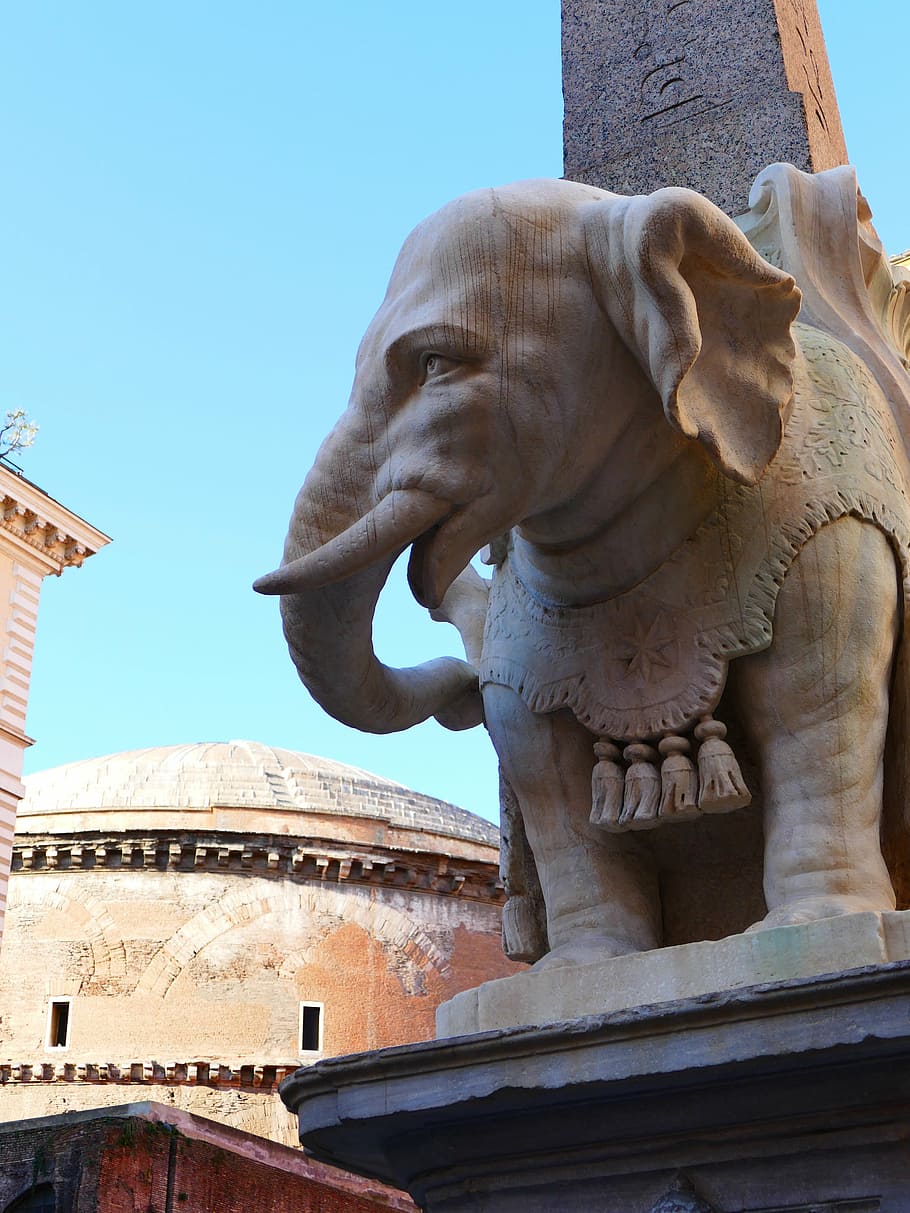 elephant, bernini, rome, proboscis, sculpture, stone figure, stone, ruesseltier, art and craft, architecture