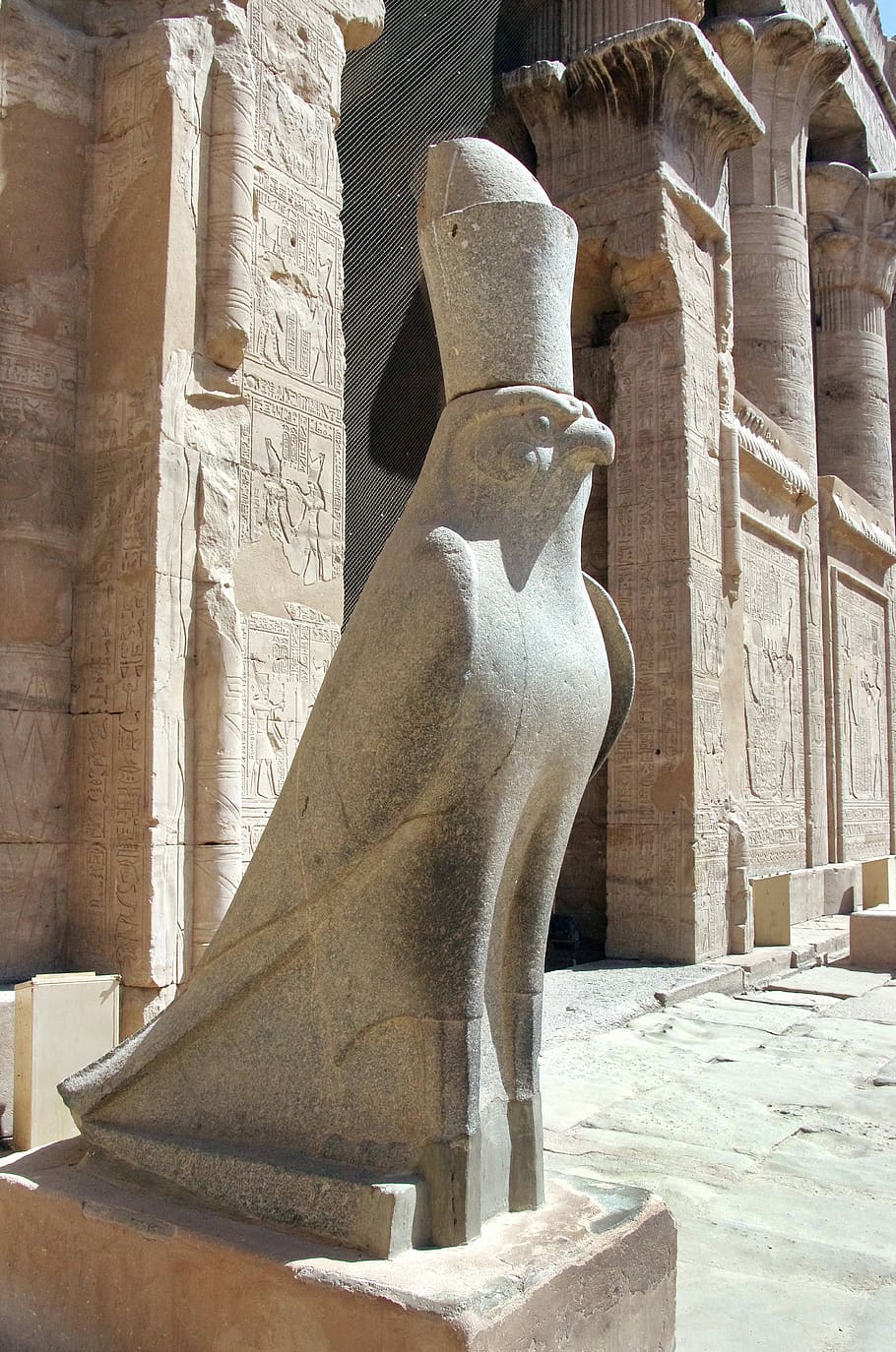 egypt, edfu, temple, statue, horus, divinity, falcon, history, symbol, sculpture