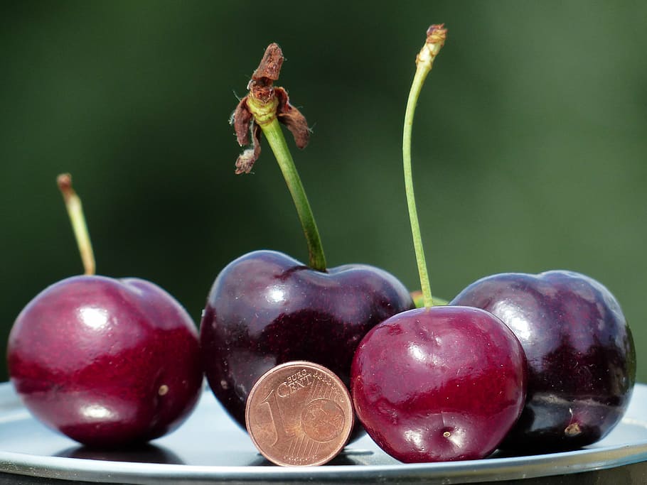 purple, fruits, round gold-colored coin, cherries, large, huge, size comparison, cent, penny, coin