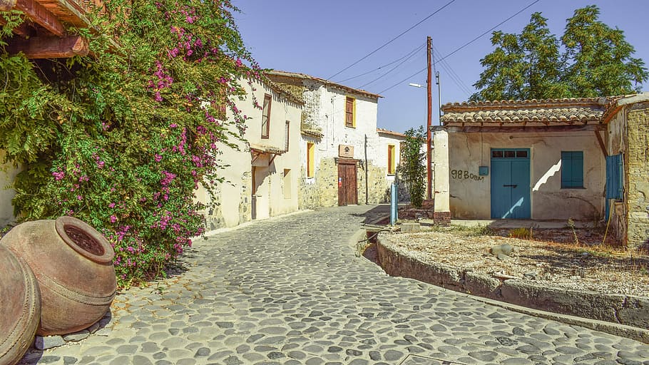 pink, flowering vine plant, brown, ceramic, vase, gray, concrete, pavement, old houses, traditional